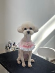 동그리아