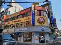 강남역노른자공인중개사사무소
