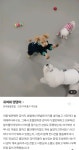 귀여워 댕댕이