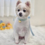 FORME:포미