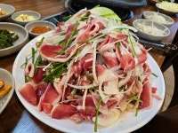 장수오리