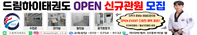 드림하이태권도