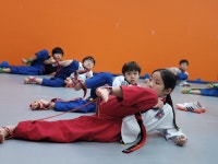 대솔경희대태권도