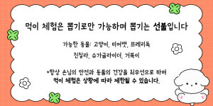 파충류카페 강릉점