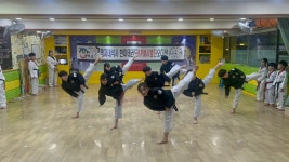 한미태권도