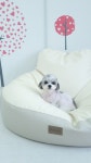 멍컷