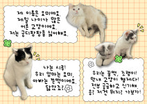 파충류카페 강릉점