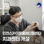 인천24시스카이동물메디컬센터