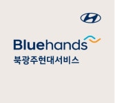 블루핸즈 북광주현대서비스