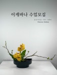 키레이플라워