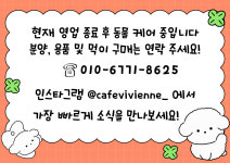 파충류카페 강릉점