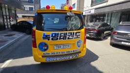 녹명태권도