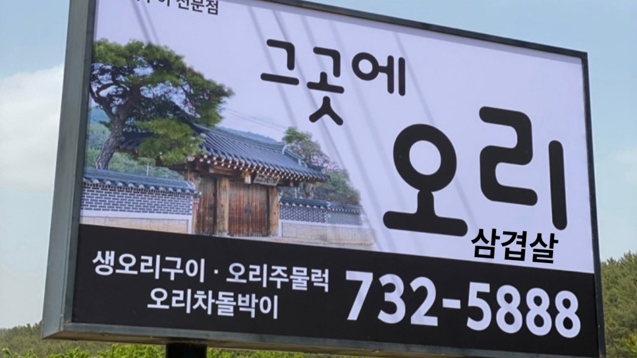 그곳에 오리