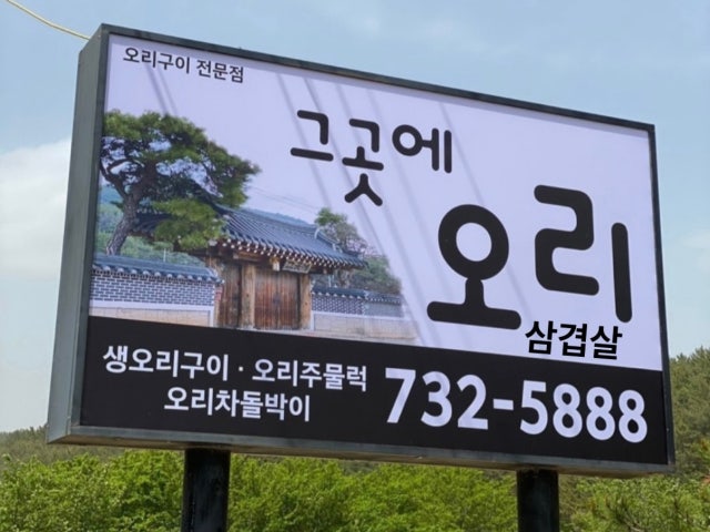 그곳에 오리