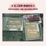 도그모루