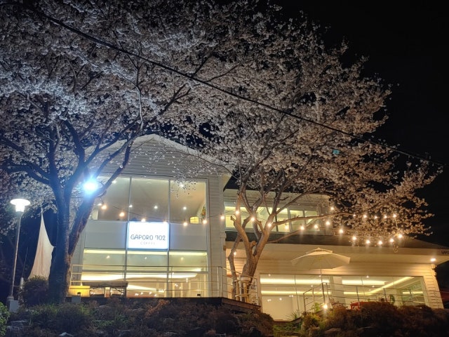 카페가포로702