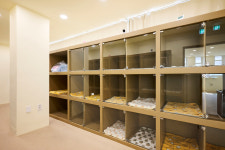 하이뭉치유치원