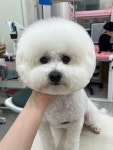 뭉치, 그루밍
