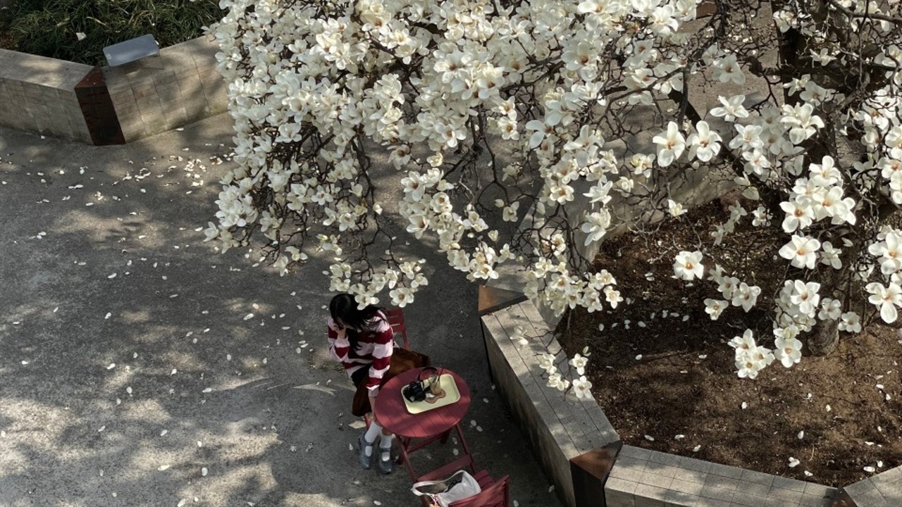 켑트 베이커스
