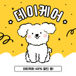 켈리독 강남 애견호텔 애견유치원