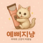 예뻐지냥 고양이미용