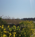 사우스사계 제주