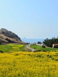 사우스사계 제주
