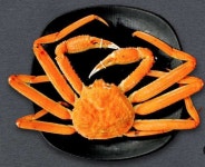 찐수산대게횟집 주문진방파제회센터본점