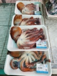 바다향생선가게