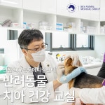 인천24시스카이동물메디컬센터