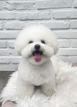 우리몽