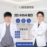 나봄동물병원