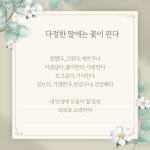 로이심리상담센터마음연구소