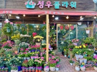 성우플라워