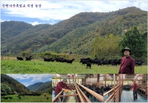은행나무흑염소