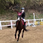 보령시승마센터