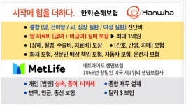 지노카정비