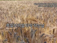 보리떡 머슴과 커피 마님