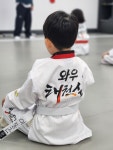 와우태권십 태권도장