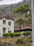 산꽃들꽃펜션민박