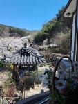 약식동원 다루야