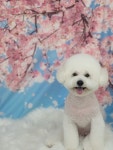 룩앳독