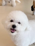 털로덮인친구들 동탄호수공원점
