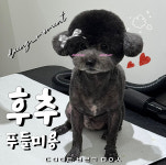 댕모먼트