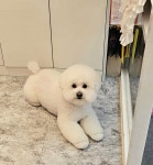 똘이살롱