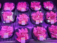 성주한우축산프라자