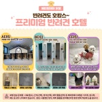 해피멍데이 강아지호텔 애견호텔