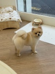 두리멍실