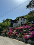 산꽃들꽃펜션민박