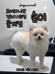 댕모먼트